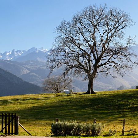 La Montana Magica Hotel Rural Vibano Exteriér fotografie